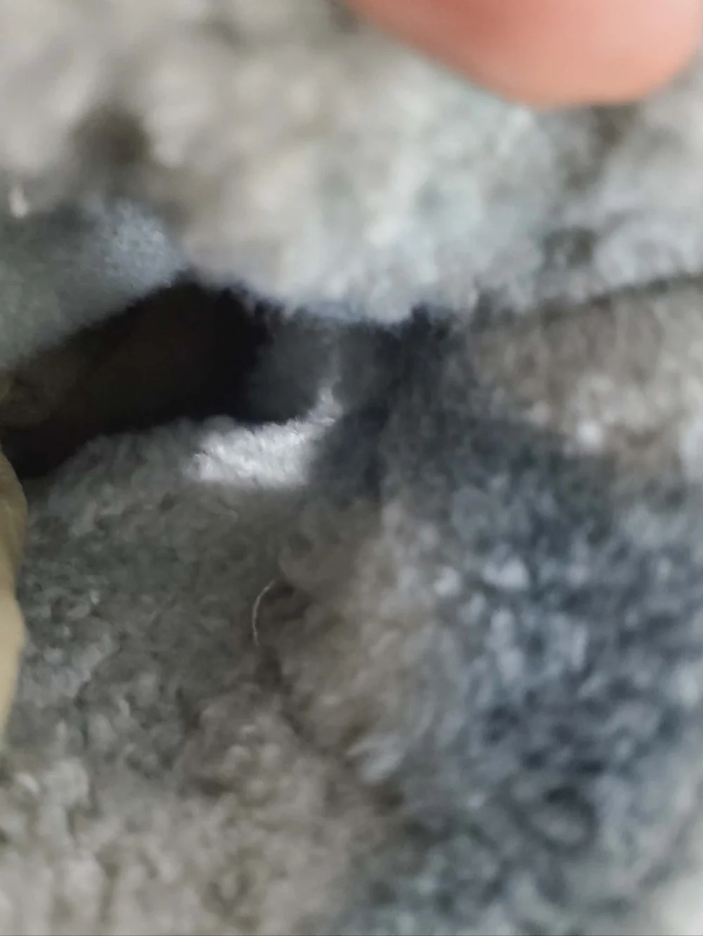 UGG Green Leather Shearling-Lined Mid Boots 7 - Picture 13 of 14